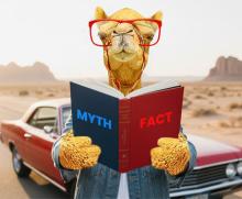 Top 7 Car Insurance Myths Debunked for UAE Drivers